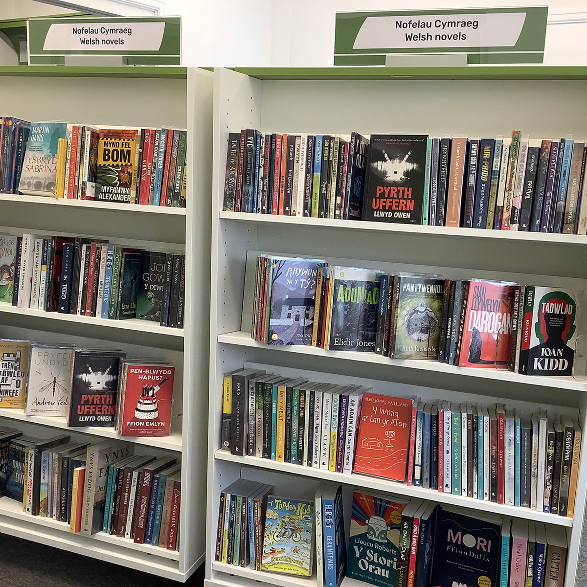 Uwchaled: Welsh novels