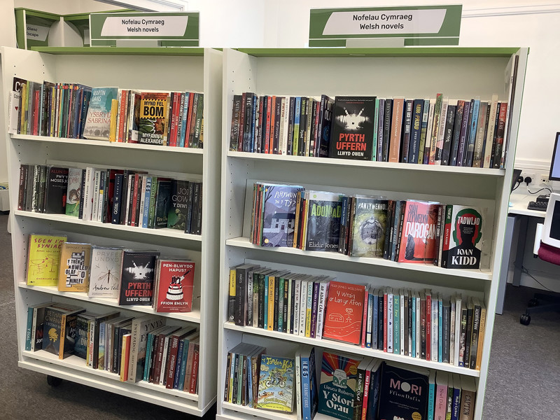 Uwchaled: Welsh novels