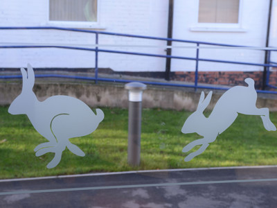 Frosted glass decals of leaping rabbits on a window at Brackenhurst Campus Library