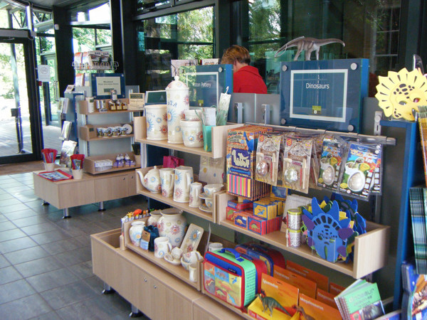 Colourful merchandise displays featuring pottery, dinosaur-themed items, and educational toys in the retail space at Woodstock Museum Shop – pottery & dinosaurs