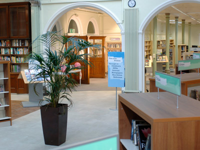 Potted palm tree beside wooden browsing shelves in an open-plan library space at Wimbledon Library