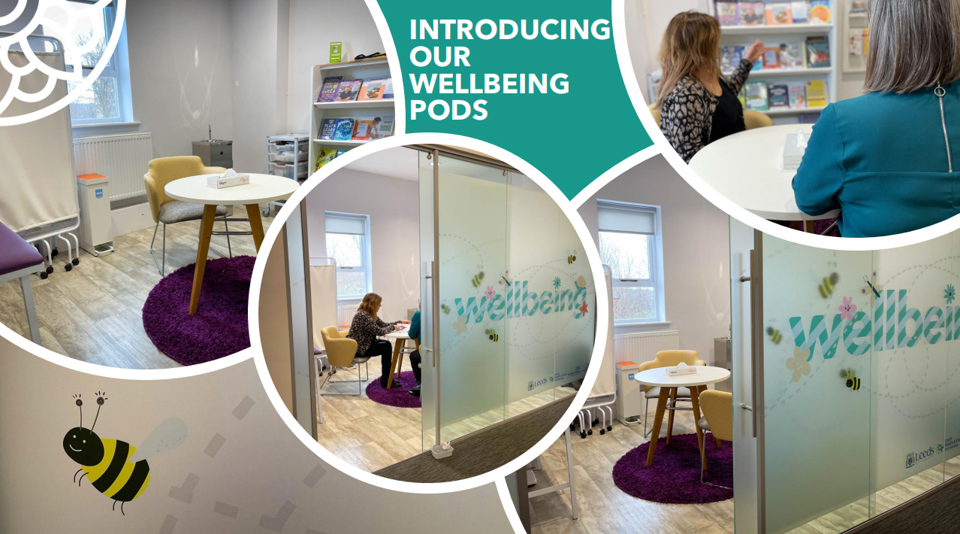 Wellbeing Pods in Libraries and Hubs