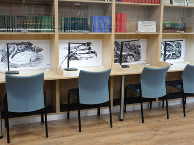 Light blue study chairs and individual reading lamps at study tables featuring local history illustrations at Gateshead Archive