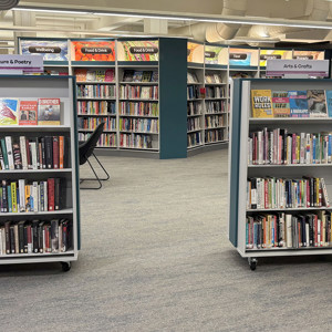 View through adult library