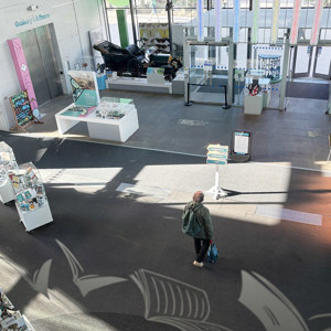 View of shop and museum from first floor