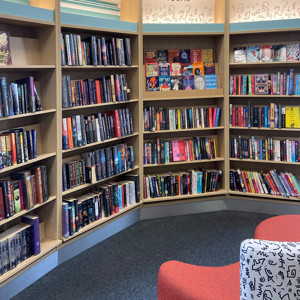 Blaydon: Teens and science fiction