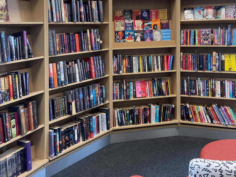 Blaydon: Teens and science fiction