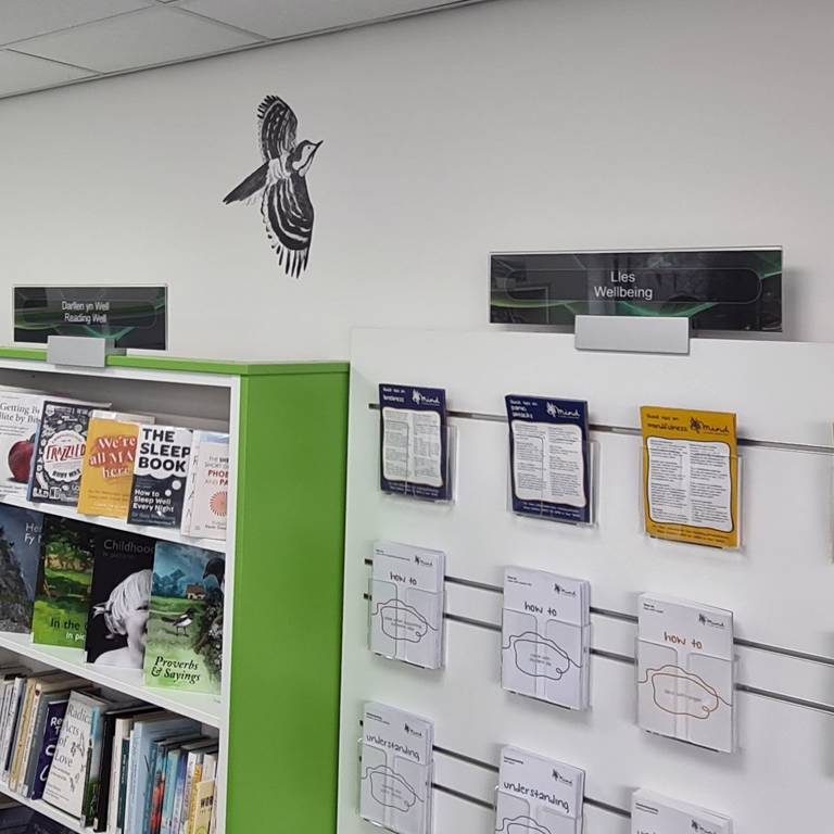 Greater-spotted woodpecker graphic flies above books and leaflets in Wellbeing Hub