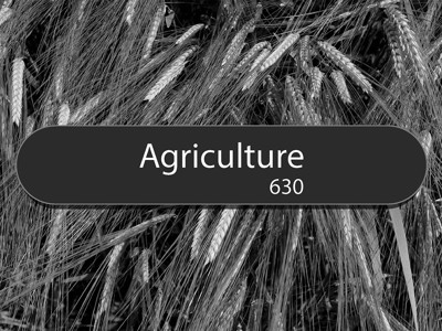 Wheat stalks in black and white with a prominent sign reading "Agriculture 630" at Brackenhurst Campus Library