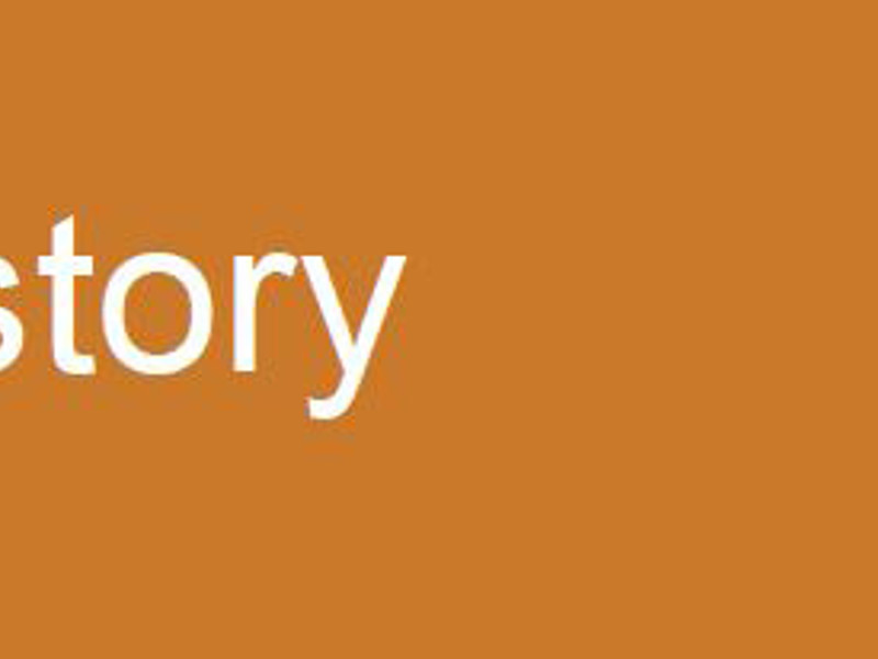 Brick design non-fiction header